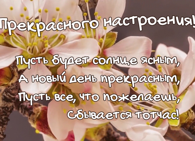 Желаем отличного настроения на весь день